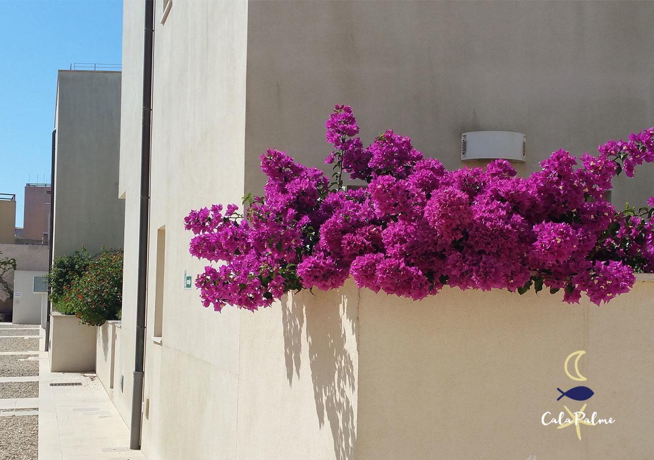 Cala Palme Lampedusa Apartment Exterior photo